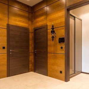 acoustic-door